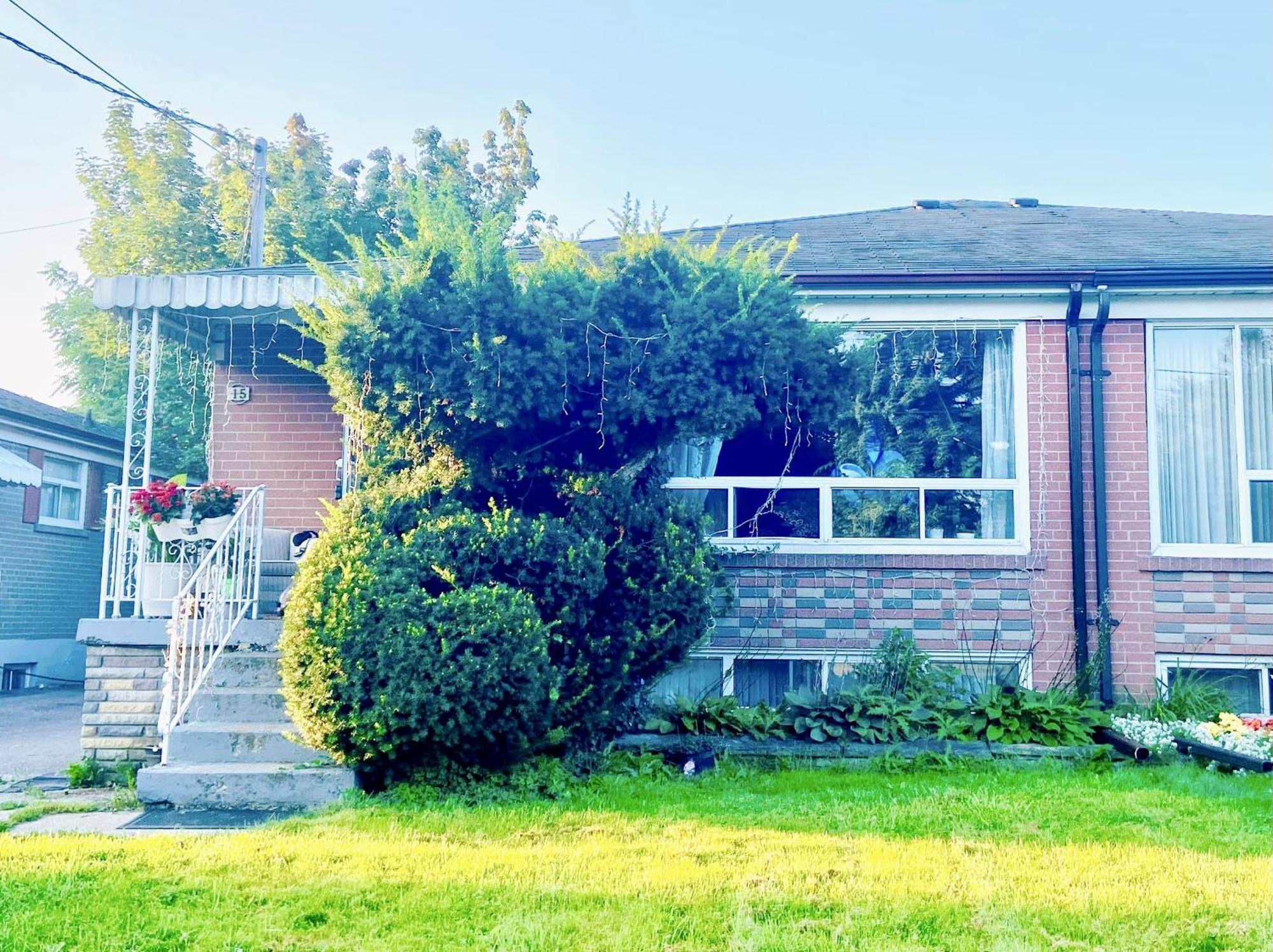 Toronto Bed & Breakfast - Free Parking Dış mekan fotoğraf